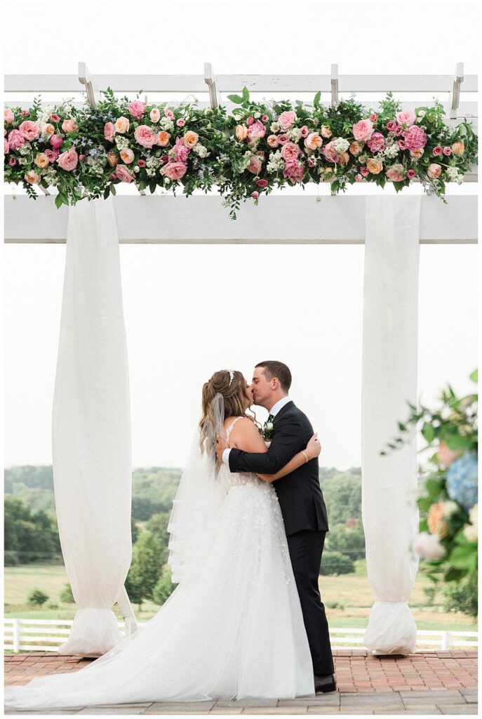 raspberry-plain-manor-wedding-in-leesburg-virginia