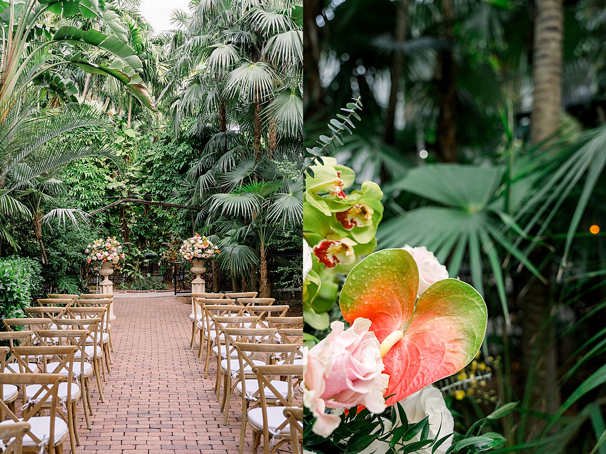 wedding-ceremony-at-hemingway-home-in-key-west